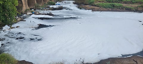 IMG-20230712-WA0030.jpg
