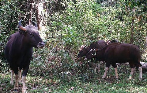 IMG-20230714-WA0269