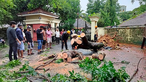 IMG-20230722-WA0077