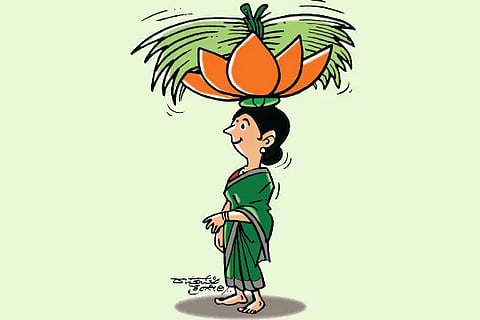 JDS Cartoon