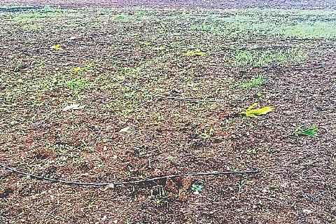 Jagaluru, adake sasi, destroyed,