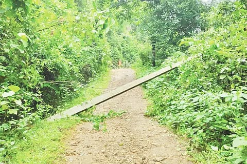 Kaadane