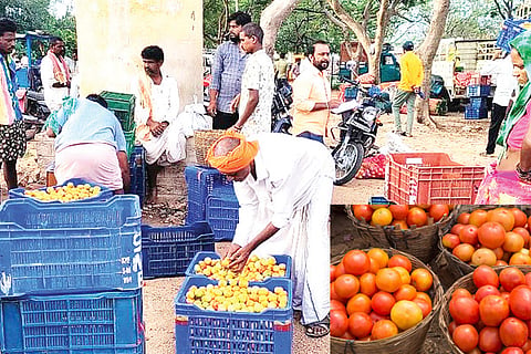 Kanakagiri Tomato Rate