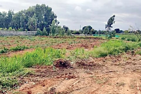 Land (1)