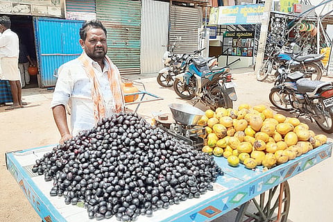 Lingasuguru Nerale Fruite