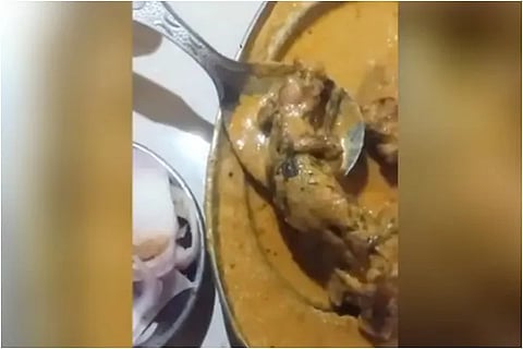 Ludhiana Man Posts Video Of Dead Rat In Restaurant Food