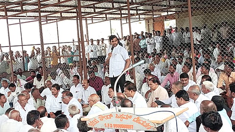MLA