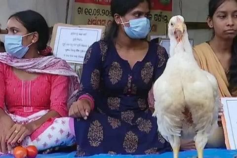 OUAT students stage unique protest with vegetables hens