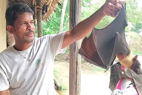 Odisha Man Bat Love