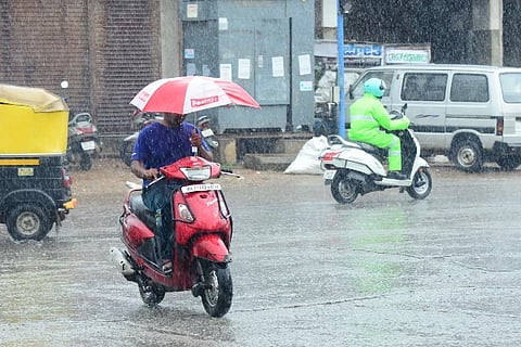 Rain, Nyamati, Agriculture,
