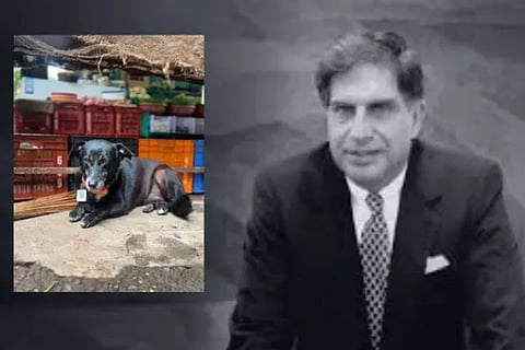 Ratan Tata