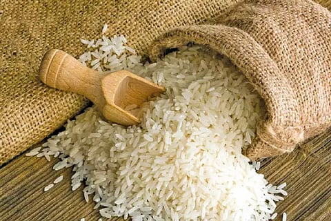 Rice (1)