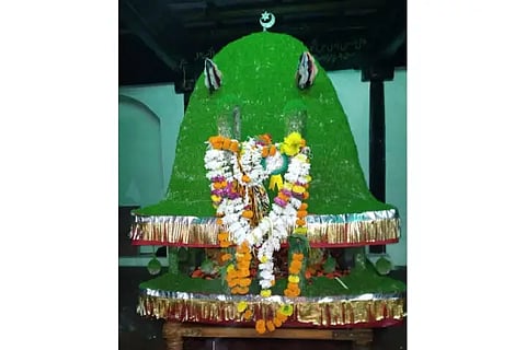 SASI DOLI