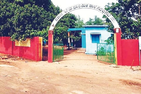 SCHOOL