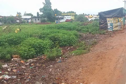Shiggavi Site