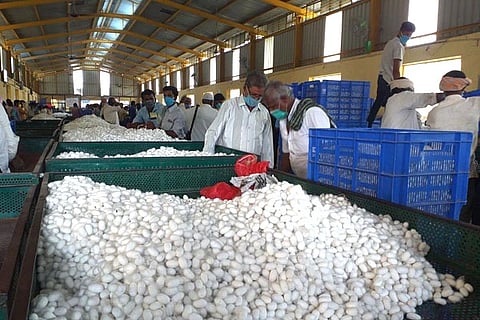 Silk farming