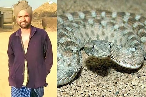Snake Bite
