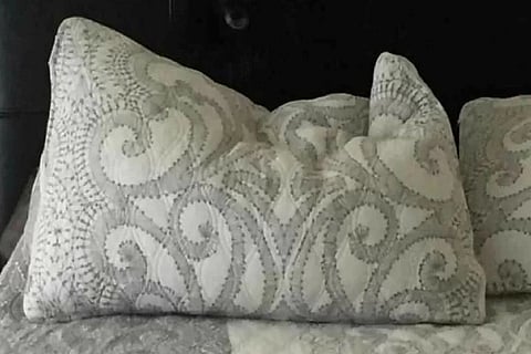 Spot the Dog 1