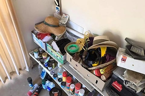 Spot the Python 1