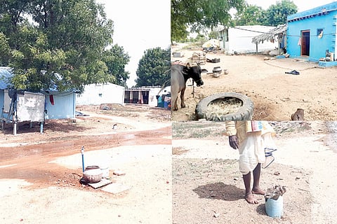 Tayamma Camp Tavaragera