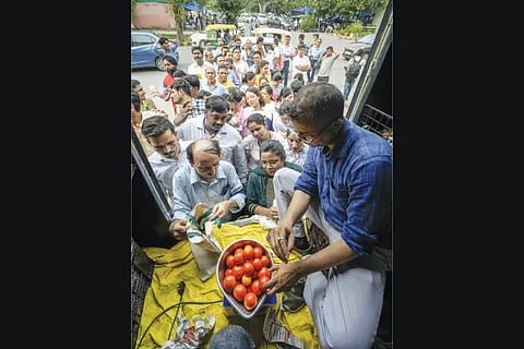 Tomato