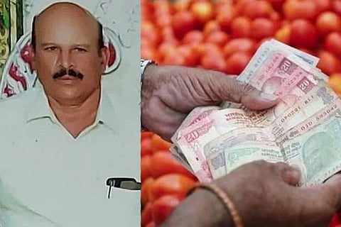 Tomato Crisis