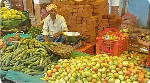 Tomatto CCTV Camera