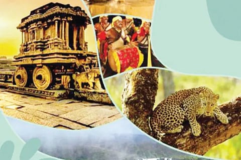 Tourism