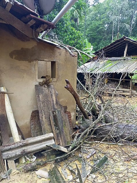Tree fell on house - siddapur
