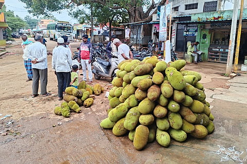 tubagere halasu
