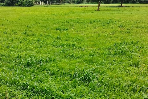 Untitled design (1)