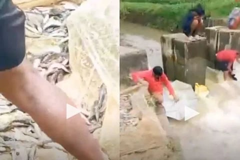 kerala viral video