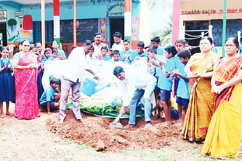 VANAMHOTSAVA