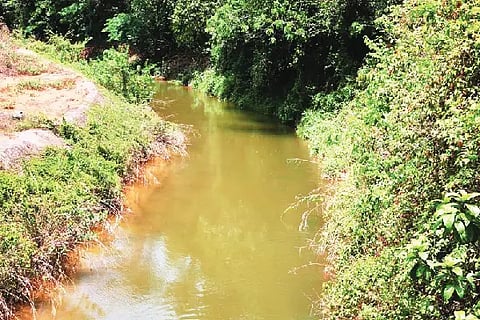 Varaahi