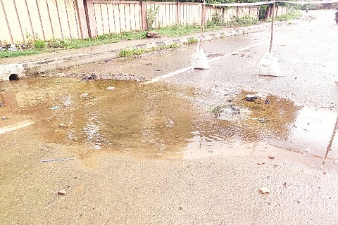 WATER WASTE