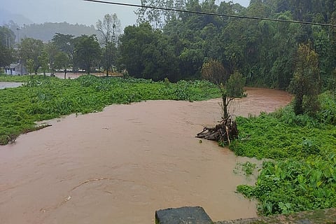 WhatsApp Image 2023-07-06 at 12.11.45 PM