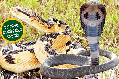 World Snake Day