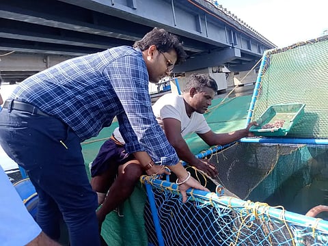 ZP-Ceo-visited-fish-culture-cage