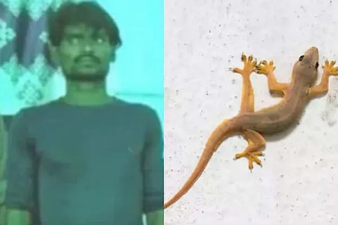 accused in Kanpur swallows lizard to avoid going to jail