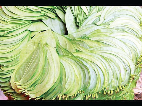 betelleaves-06-1507270459