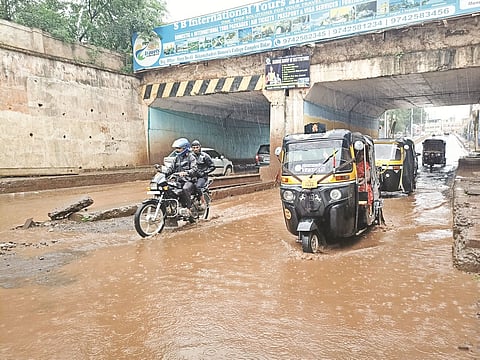 bidar male 2