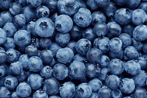 blueberry