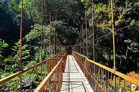 bridge