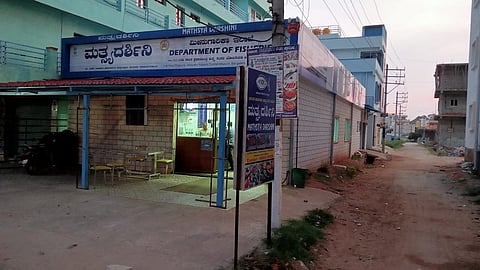 fish canteen