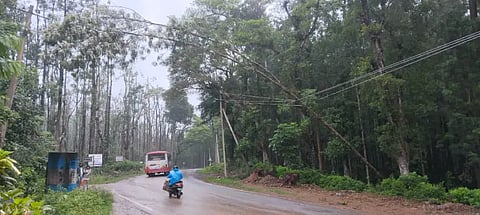 ckm rain