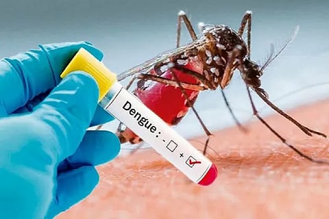 dengue