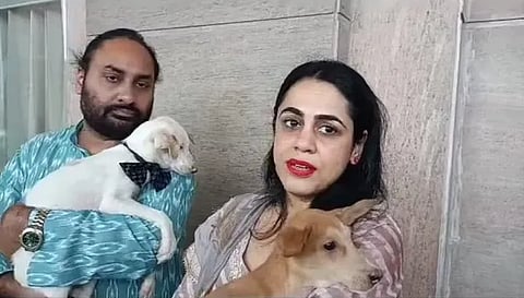 dog