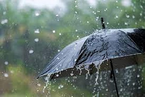 download
