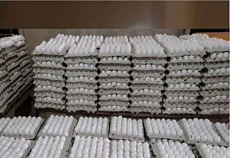 eggs