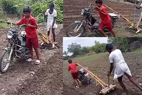 farmer